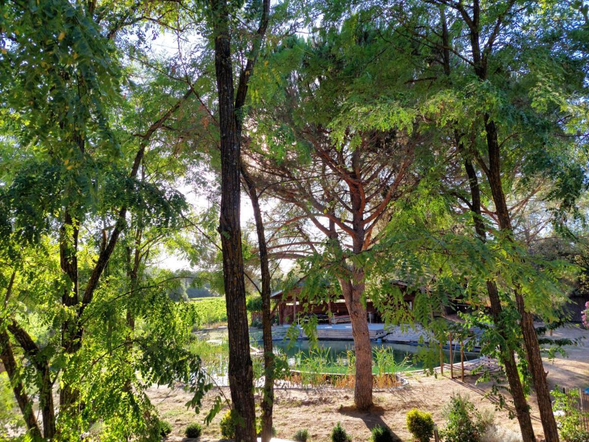 L'Etang Des Cigales Apartment Uchaux Ngoại thất bức ảnh